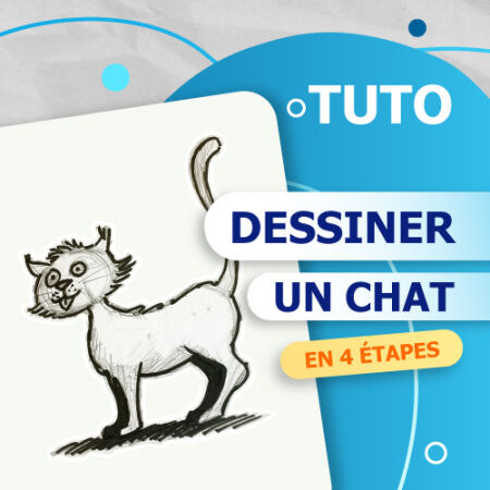 dessiner un chat
