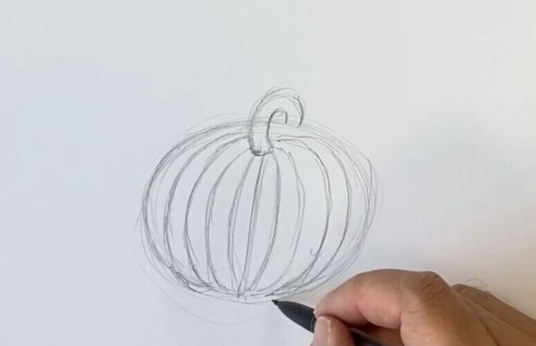 dessiner les stries de la citrouille