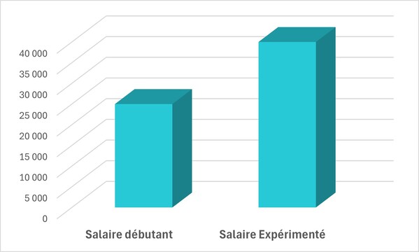 Le salaire d'un dessinateur projeteur en architecture 