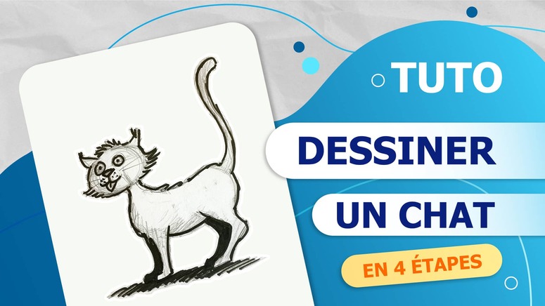 comment dessiner un chat