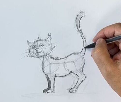 dtails dessin chat