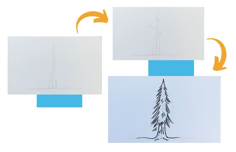 comment dessiner un sapin