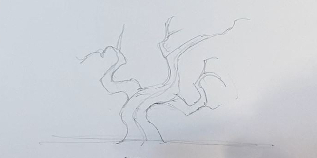 Apprendre à dessiner un arbre en 3 étapes