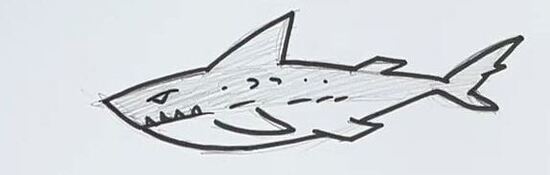 comment dessiner un requin