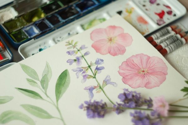 aquarelle