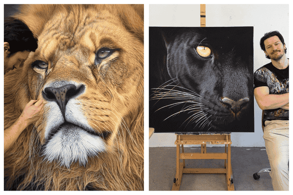 Dessins hyperr�alistes animalier de Nick Sider