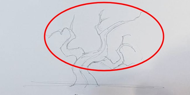 Apprendre à dessiner un arbre en 3 étapes