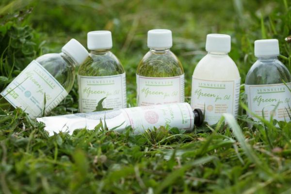 biosolvant sennelier